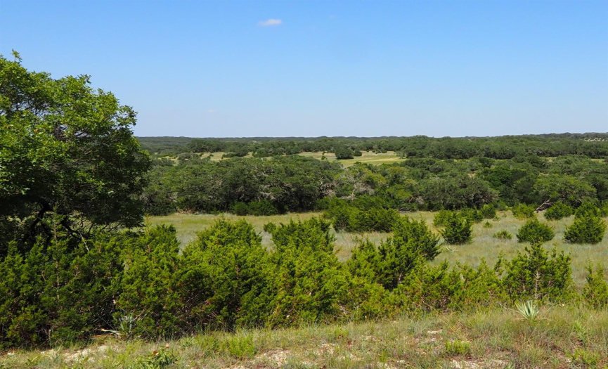 2901 County Road 228 RD, Florence, Texas 76527, ,Farm,For Sale,County Road 228,ACT8136921