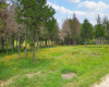 Land,For Sale,ACT8747935