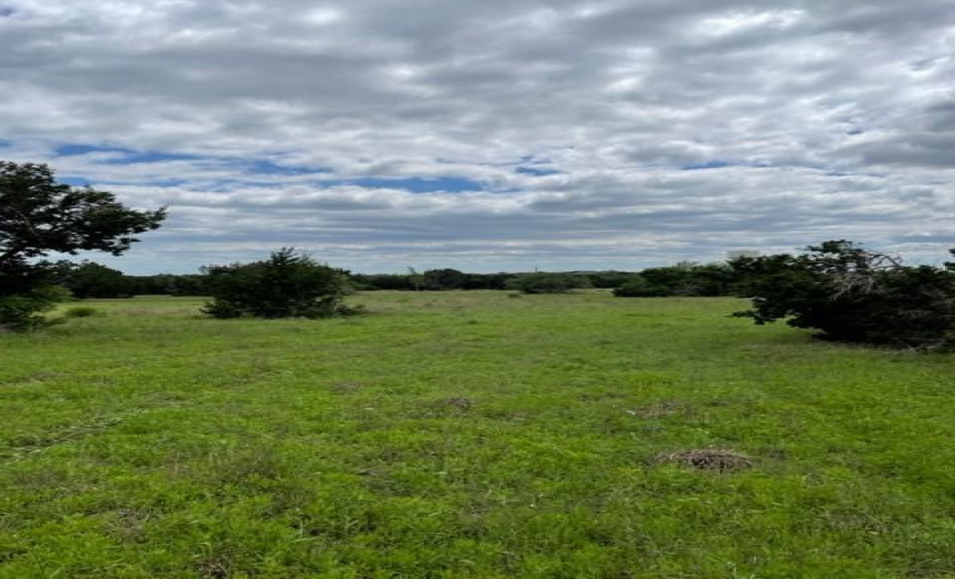900 Butler Ranch RD, Dripping Springs, Texas 78620, ,Commercial Sale,For Sale,Butler Ranch,ACT3838665