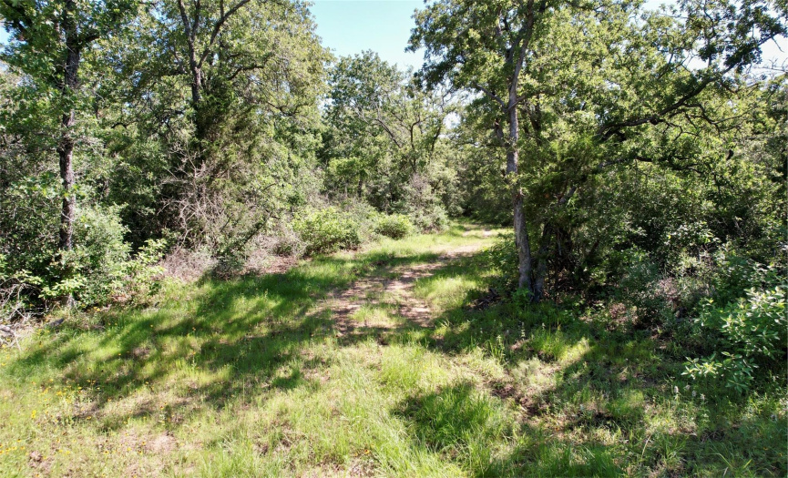 00 County Road 462 RD, Harwood, Texas 78632, ,Farm,For Sale,County Road 462,ACT4715879