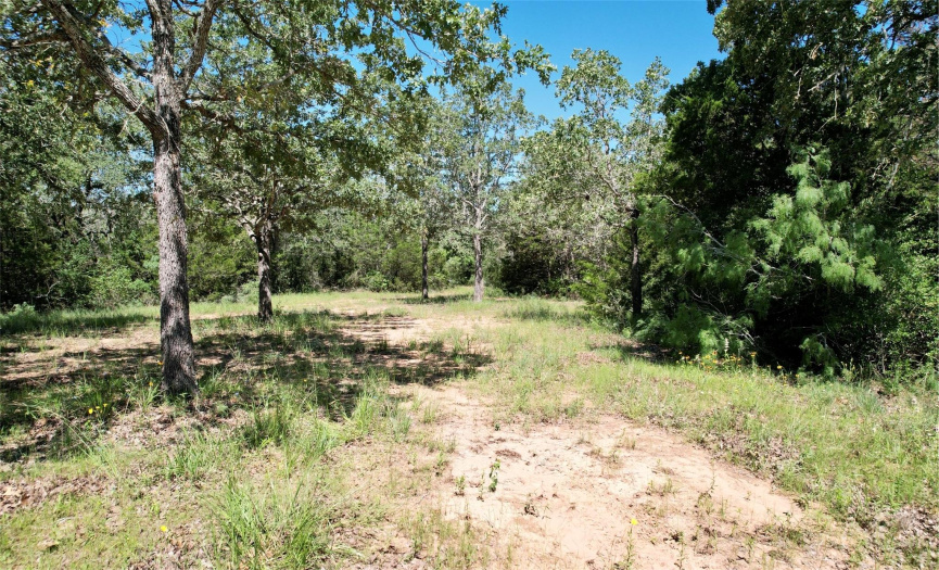 00 County Road 462 RD, Harwood, Texas 78632, ,Farm,For Sale,County Road 462,ACT4715879