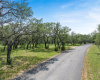 159 Trail CRST, Johnson City, Texas 78636, ,Farm,For Sale,Trail,ACT8896572
