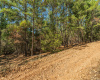 Ground View Lot 96 Hidden Hollow Ct, Pine Forest Bastrop