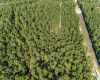 Aerial View Lot 95 and 96 Hidden Hollow Ct, Pine Forest Bastrop