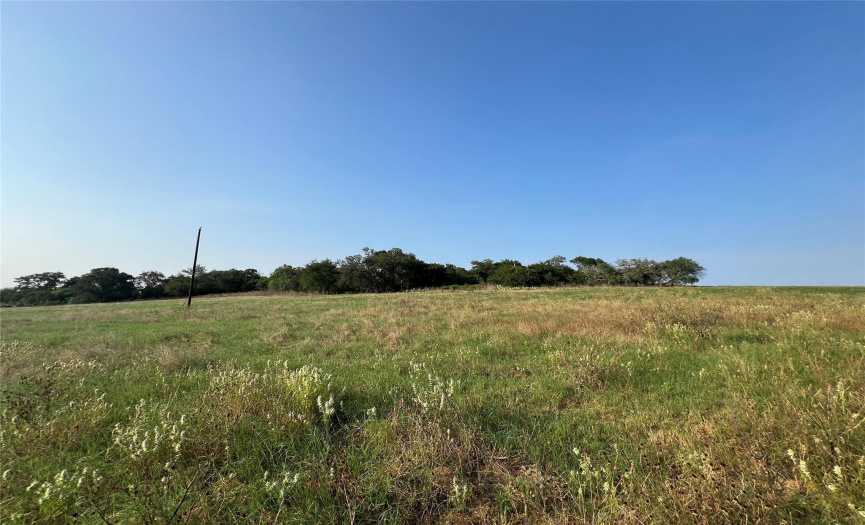 5912 Tenney Creek RD, Luling, Texas 78648, ,Land,For Sale,Tenney Creek,ACT1214580