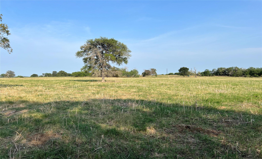 0000 Tenney Creek RD, Luling, Texas 78648, ,Land,For Sale,Tenney Creek,ACT8087259