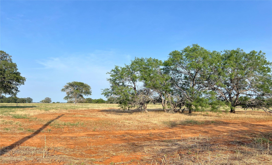0000 Tenney Creek RD, Luling, Texas 78648, ,Land,For Sale,Tenney Creek,ACT8087259