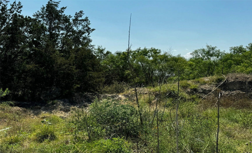 Lot 130A Kendall RD, Spicewood, Texas 78669, ,Land,For Sale,Kendall,ACT6014994