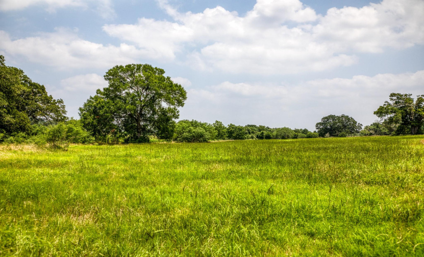 Gorgeous gently rolling pastures with mature hardwoods