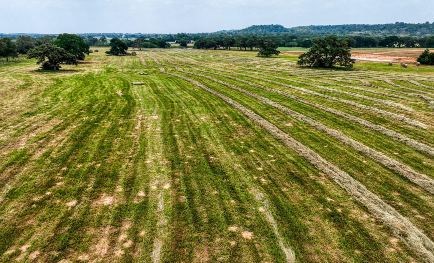 Agriculture Valuation via Hay Production with improved Coastal Bermudagrass