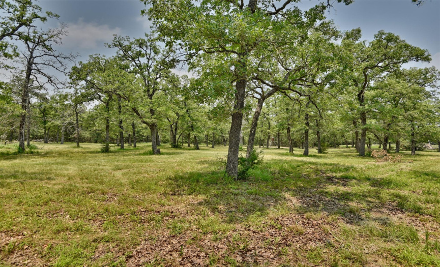 2001 Wildwood RD, Ledbetter, Texas 78946, ,Land,For Sale,Wildwood,ACT3620851