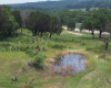 Seasonal Pond Toward Rear Portion of the approximately 2 Acre Lot. 