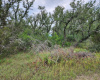 Lot 5 County Road 423 (Gregg) DR, Spicewood, Texas 78669, ,Land,For Sale,County Road 423 (Gregg),ACT2848198
