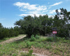 TBD Juniper RDG, Round Mountain, Texas 78733, ,Farm,For Sale,Juniper,ACT8067864