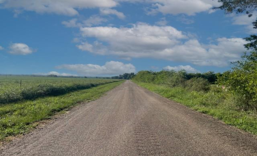Tract 2 TBD CR 318, Caldwell, Texas 77836, ,Land,For Sale,TBD CR 318,ACT3676447