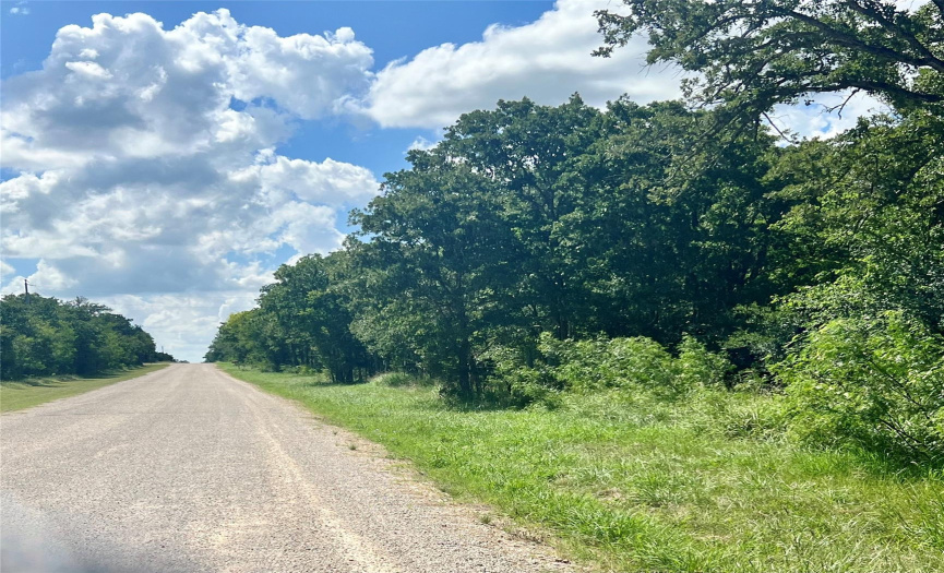 TBD Wood Hollow DR, Waelder, Texas 78959, ,Land,For Sale,Wood Hollow,ACT5400347