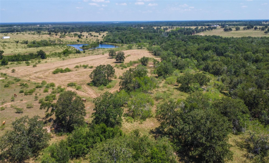 TBD Taylorsville RD, Red Rock, Texas 78662, ,Land,For Sale,Taylorsville,ACT6502948