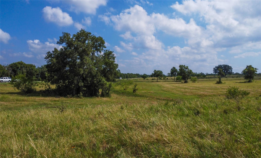 17000 Fm-86, Red Rock, Texas 78662, ,Land,For Sale,Fm-86,ACT7804292
