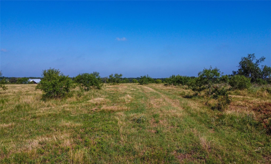 17350 Fm-86, Red Rock, Texas 78662, ,Land,For Sale,Fm-86,ACT4426588