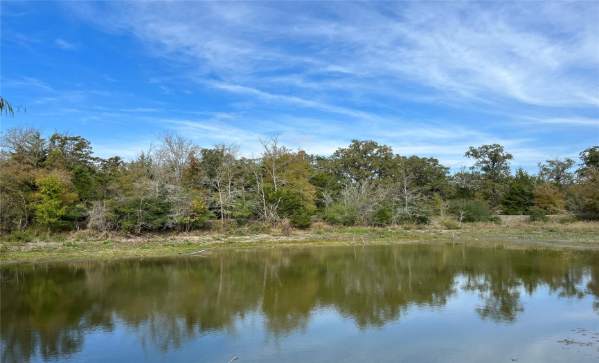 4311 County Road 127, Ledbetter, Texas 78946, ,Land,For Sale,County Road 127,ACT2867892