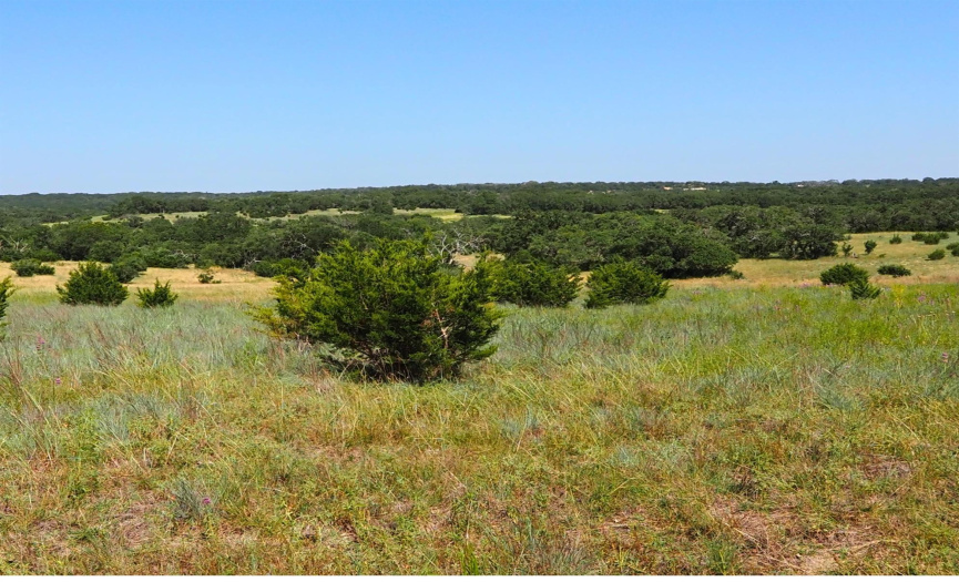 2801 County Road 228 RD, Florence, Texas 76527, ,Farm,For Sale,County Road 228,ACT8786849