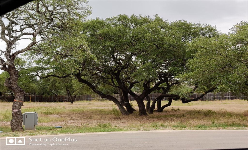 410 Whisenant LN, Dripping Springs, Texas 78620, ,Land,For Sale,Whisenant,ACT8154023