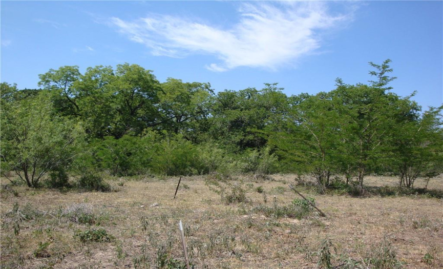 1342 CR 358 RD, Gonzales, Texas 77984, ,Farm,For Sale,CR 358,ACT5951589