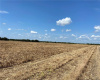 Tract 1 Farmers RD, Maxwell, Texas 78656, ,Land,For Sale,Farmers,ACT3826323