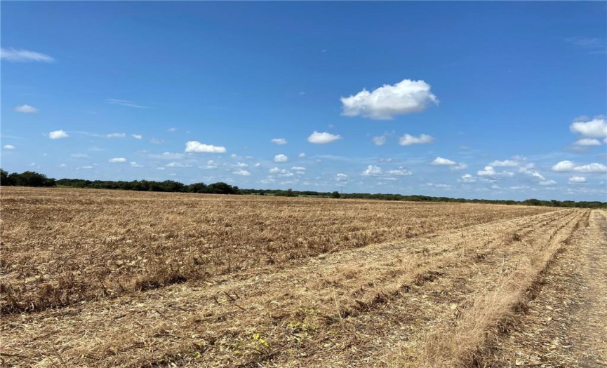 Tract 1 Farmers RD, Maxwell, Texas 78656, ,Land,For Sale,Farmers,ACT3826323