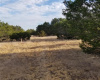 TBD County Rd 284, Liberty Hill, Texas 78642, ,Land,For Sale,County Rd 284,ACT9806268
