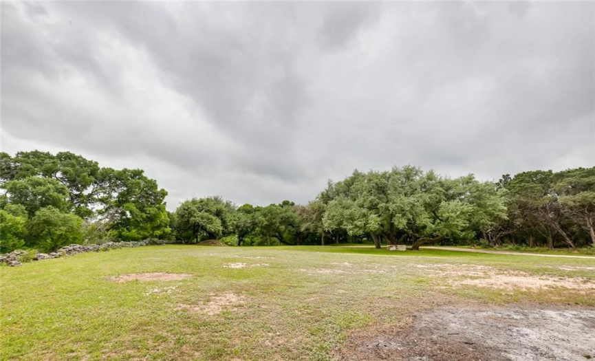 View of oak trees on upper portion of the cleared lot.  